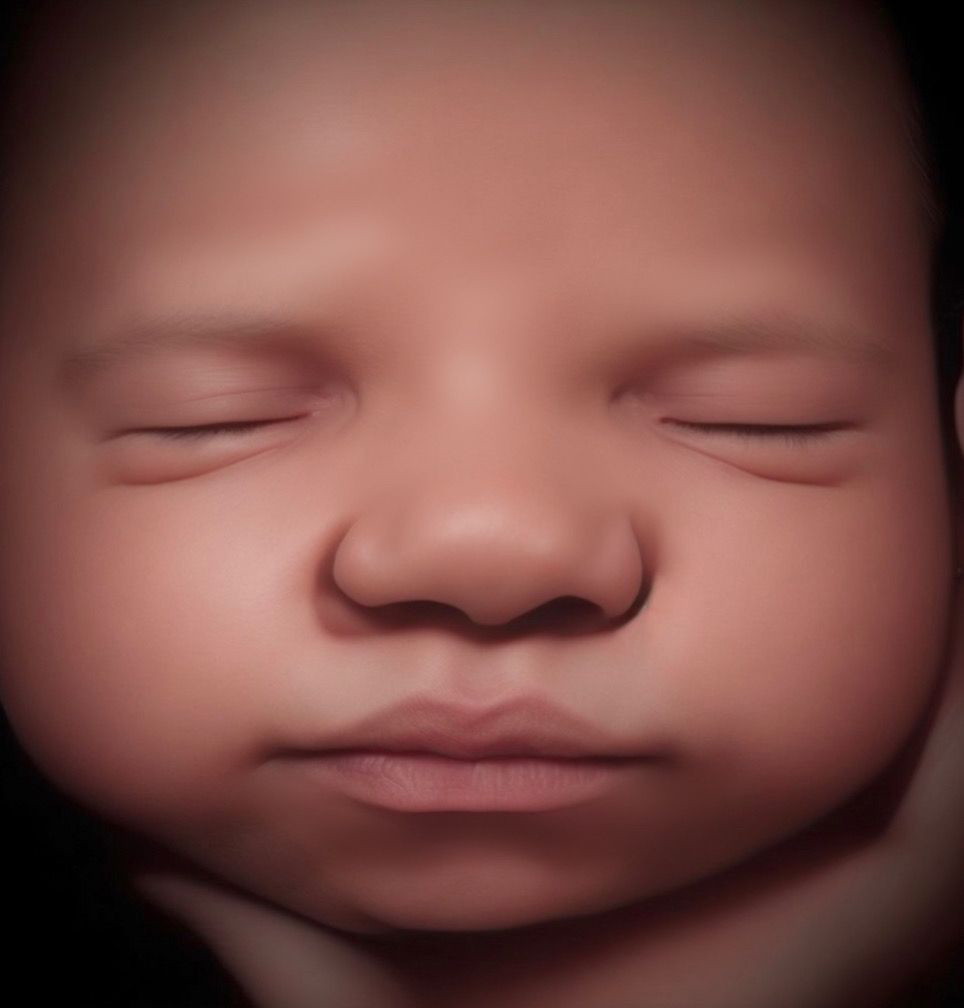 8k-gallery-goldenview-ultrasound